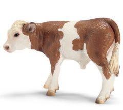 SHL13642 - Veau de race Simmental