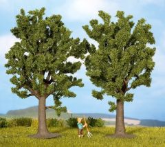 NOC25170 - 2 Arbres hauteur 13 cm - Hêtres