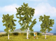 NOC25520 - 3 Arbres hauteur 4.5 cm - Bouleaux