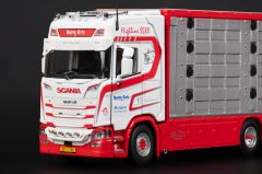 IMC32-0217 - Camion porteur bétaillère transporteur BETTE GRIS - SCANIA S High Roof 6x4