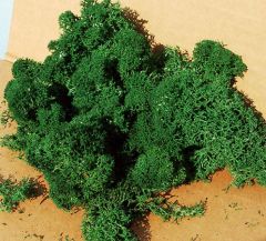 HEK3220 - Décor pour diorama - 75g - Lichen vert foncé