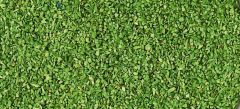 HEK3301 - Sachet de 40g de couvre-sol couleur vert clair