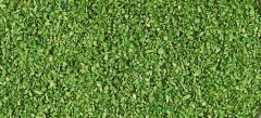 HEK3301 - Décor pour diorama - Matière à floquer 40g couleur vert clair
