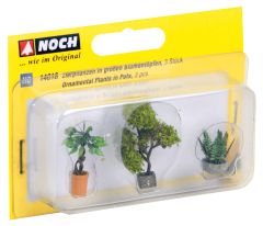 NOC14018 - 3 plantes en pots