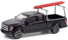 GREEN35200F - Véhicule sous blister BLUE COLLAR COLLECTION – FORD F-150 de 2017