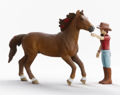 SHL42711 - Figurine de l'univers Horse Club - Cavalière Hannah et Cayenne