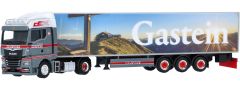 HER954822 - Camion avec remorque frigorifique GASTEIN - MAN TGX GM 4x2