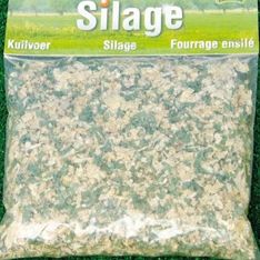 KID610760 - Sachet de 100g de flocage – Herbe d'ensilage