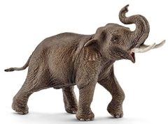 SHL14754 - Eléphant d'Asie - Mâle