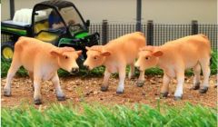 BT3071 - Set de 3 vaches debout de couleur marron clair