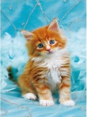CLE21142 - Mini-Puzzle avec un chaton de 260 Pièces