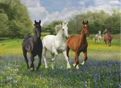 CLE39255 - Puzzle D'animaux - Chevaux en course Contient:1000 Pièces 69x50cm