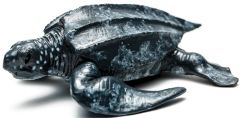 COL88680 - Figurine de l'univers des animaux sauvages - Tortue géante