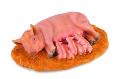COLL88348 - Figurine de l'univers des animaux de la ferme - Famille de cochons