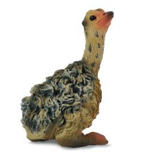 COLL88460 - Figurine de l'univers des animaux sauvages - Bébé Autruche assis