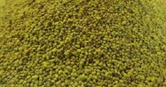 JUW23305 - Accessoire miniature – 150grs de grains maïs