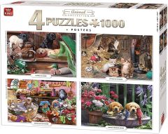 KING55931 - 4 Puzzles chiens et chats 1000 Pièces