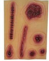 Lot de 7 stickers imitation de cicatrices