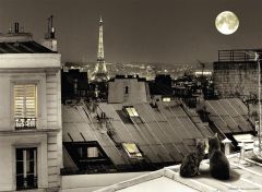 RAV87106 - Puzzle de 500 Pièces  Sur les toits de Paris Dimensions : 49 x 36 cm