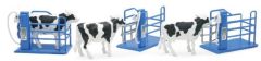 NEW05013A - 3 vaches avec box de traites