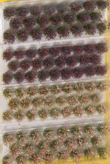 NOC07014 - 98 touffes d'herbes sauvages