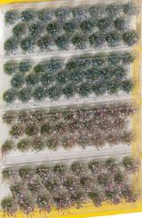 NOC07015 - 98 touffes d'herbes sauvages