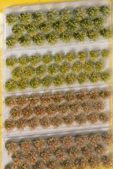 NOC07016 - Ensemble de touffes d'herbes plantes des champs