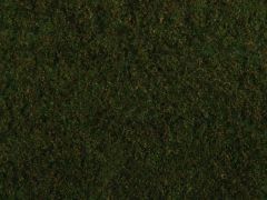 NOC07281 - Foliage d'herbes sauvages de couleurs vert foncé - Dimensions : 20 x 23 cm