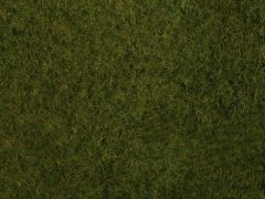 Foliage d'herbes sauvages de couleur vert foncé - Dimensions : 20 x 23 cm