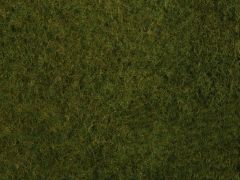 NOC07282 - Foliage d'herbes sauvages de couleur vert foncé - Dimensions : 20 x 23 cm