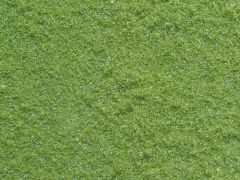 NOC07330 - Sachet de 20g de flocage moyen 3mm vert mois de mai