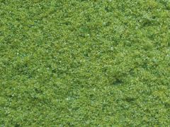 NOC07340 - Sachet de 15g de flocage 5mm vert mois de mai