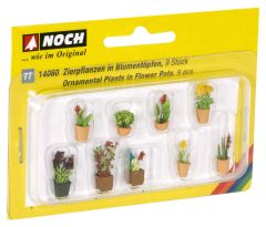 NOC14060 - 9 plantes en pots