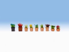 NOC14064 - 9 fleurs en pots
