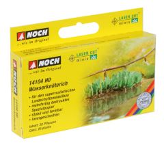 NOC14104 - 20 renouées d'eau plantes aquatiques