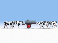 NOC16658 - Tonne à eau et 4 vaches