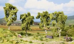 NOC21005 - Pack de 4 Bouleaux dimension : 11.5 cm