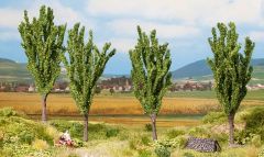 NOC21006 - Pack de 4 Peupliers Dimension : 12 cm