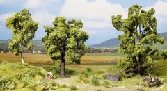 NOC21007 - Pack de 3 arbres - un Hêtre 13 cm, un Acacia 15 cm et un Bouleau 11.5 cm