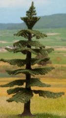 NOC21819 - Arbre - Sapin Nordmann de 12 cm de hauteur