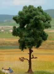 NOC21911 - Arbre - Pin - 12 cm de hauteur