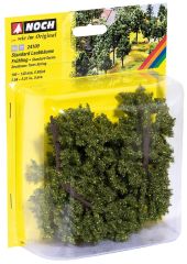 NOC24100 - Boite de 5 arbres printaniers