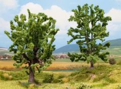 NOC25006 - Pack de 2 arbres - Chêne et Acacia dimension 15 cm