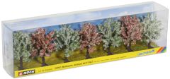 NOC25092 - Boite de 7 arbres fruitiers en fleurs