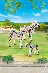 PLAY6641 - Couple de Zébre avec leur petit