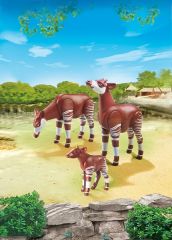 PLAY6643 - Couple d'Okapi avec leur petit