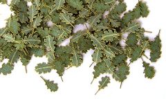 PLS252 - Boite d'imitation de feuilles de chêne vertes de 4mm pour maquette