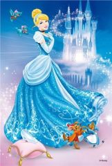 RAV09469 - Puzzle de 54 Pièces du dessin animé Cendrillon Dimensions : 13.2 x 19.8 cm