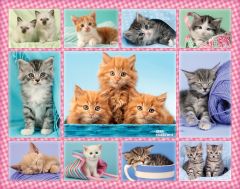 RAV10530 - Puzzle de 100 Pièces La parade des chatons Dimensions : 49 x 36 cm