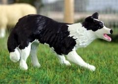 WMA14 - Chien de race Border Collie position d'attaque - En Miniature